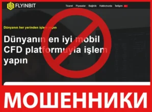 FlyinBit лицевая сторона скрин