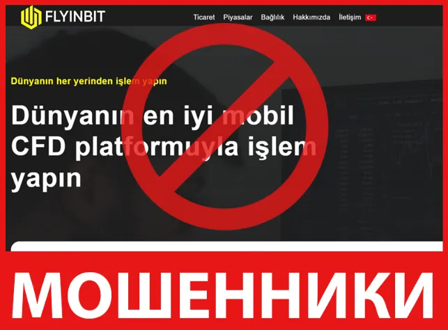 FlyinBit лицевая сторона скрин