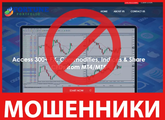 Fortunes Portfolio лицевая сторона скрин