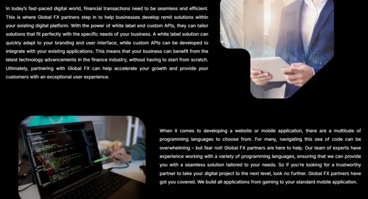 Global FX Partners 2 скрин