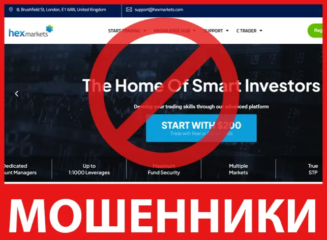Hex Markets лицевая сторона скрин