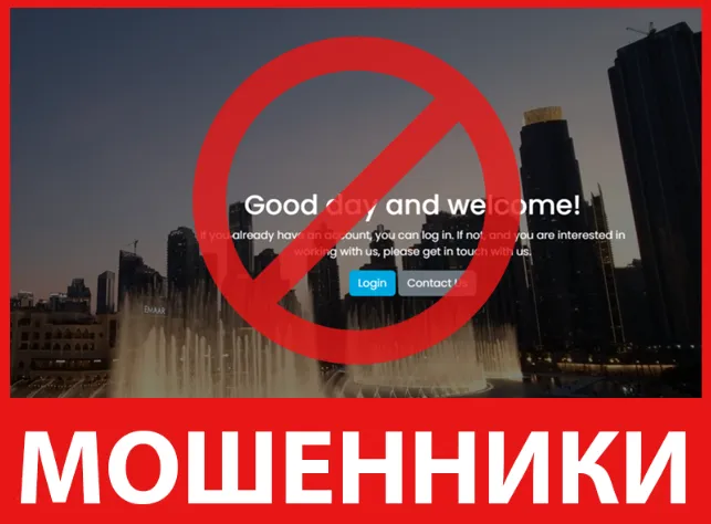 MS Capital Fund лицевая сторона скрин