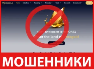 MetaGold лицевая сторона скрин