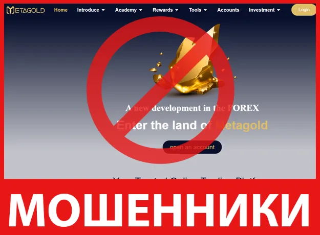 MetaGold лицевая сторона скрин