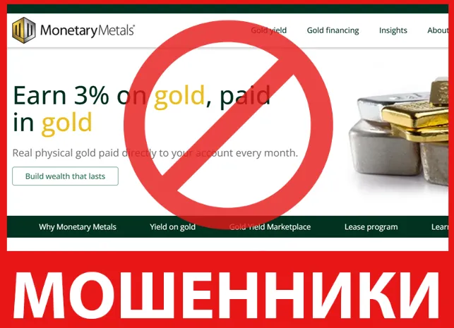 Monetary Metals лицевая сторона скрин