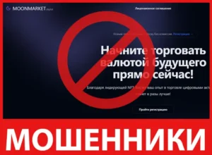 Moon Market Digital лицевая сторона скрин