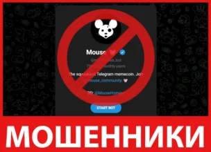 Mouse лицевая сторона скрин