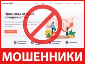 MyExpert100 лицевая сторона скрин