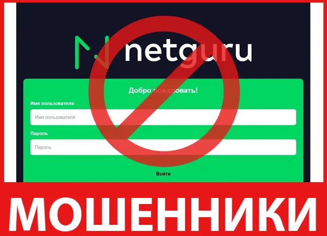 Netguruhoe лицевая сторона скрин
