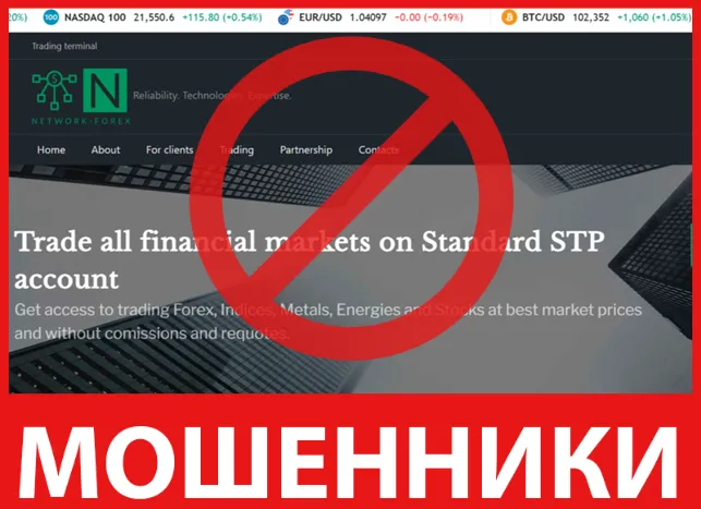 Network Forex лицевая сторона скрин