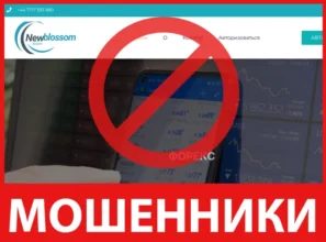 New Blossom лицевая сторона скрин