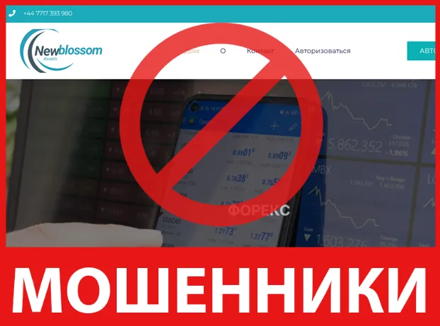 New Blossom лицевая сторона скрин