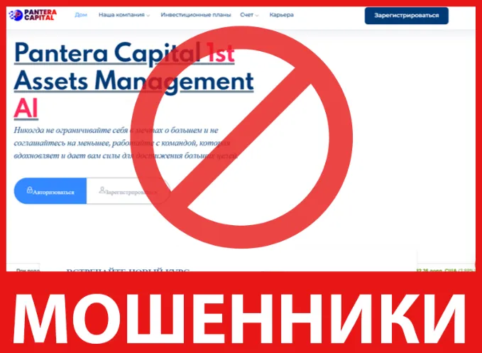 Pantera Capitals лицевая сторона скрин