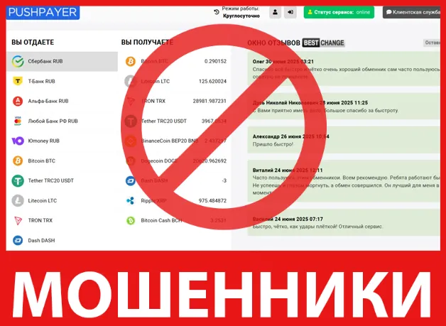 PushPayer лицевая сторона скрин