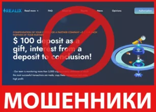 Realix лицевая сторона скрин