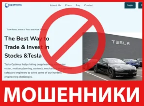 Reg Options лицевая сторона скрин