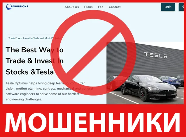 Reg Options лицевая сторона скрин