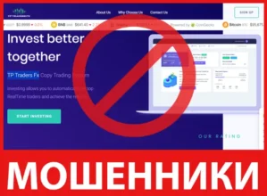 TP Traders Fx лицевая сторона скрин