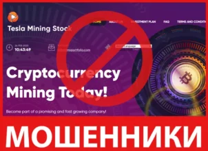 Telsa Mining Stock лицевая сторона скрин