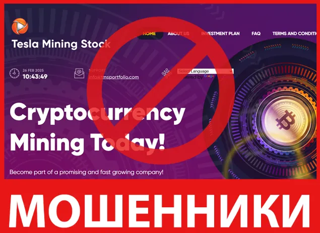 Telsa Mining Stock лицевая сторона скрин