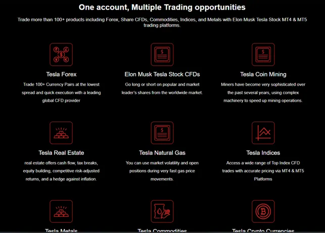 Tesla Stock Shares 1 скрин