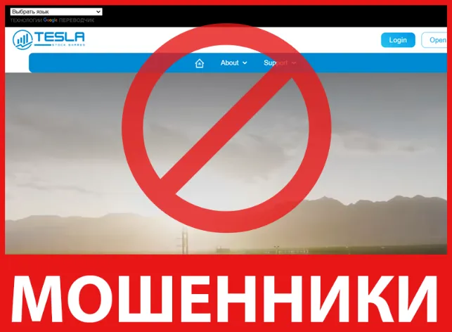 Tesla Stock Shares лицевая сторона скрин