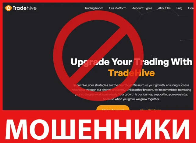 Trade Hive лицевая сторона скрин