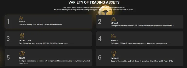 Trillium Financial Broker 1 скрин