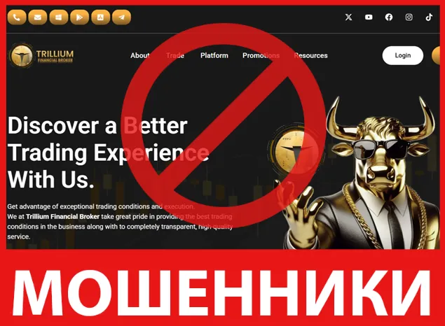 Trillium Financial Broker лицевая сторона скрин