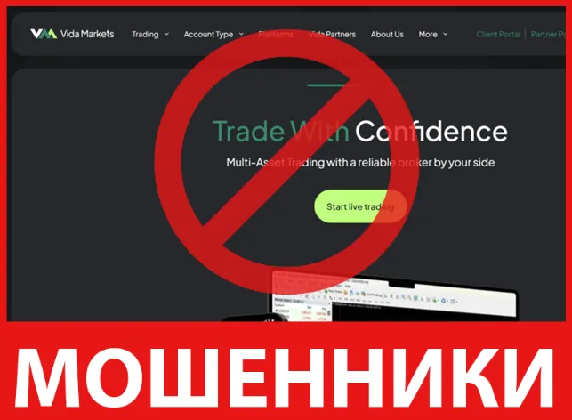 Vida Markets лицевая сторона скрин