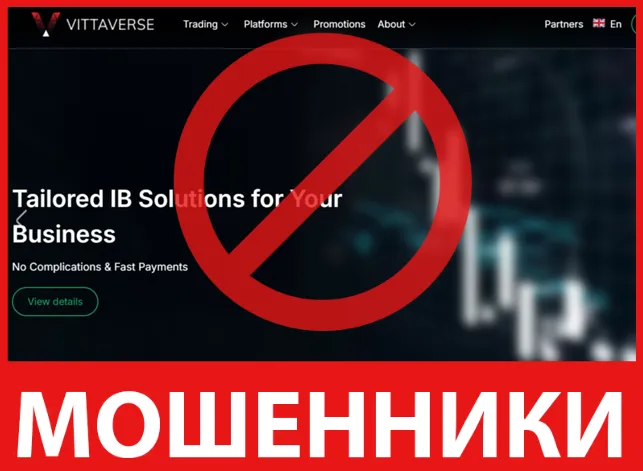 Vittaverse лицевая сторона скрин