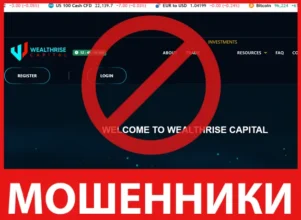WEALTHRISE CAPITAL лицевая сторона скрин