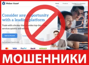 Weber Asset лицевая сторона скрин