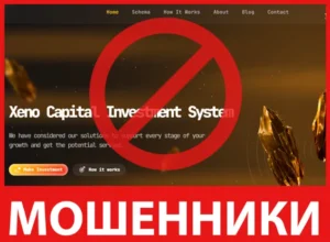 Xeno Capital лицевая сторона скрин