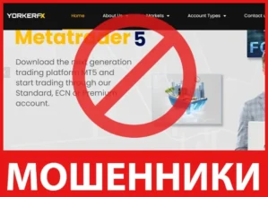 YorkerMarkets лицевая сторона скрин