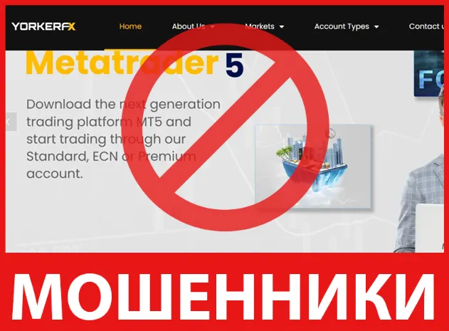 YorkerMarkets лицевая сторона скрин