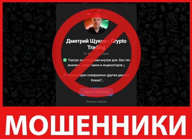 Дмитрий Щукин Crypto Trading лицевая сторона скрин