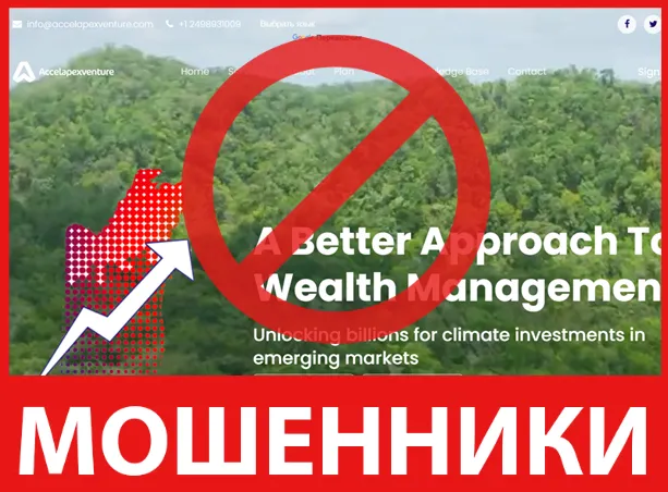 Accel Apex Ventures лицевая сторона скрин