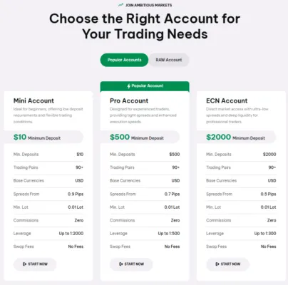 Ambitious Capital Limited 2 скрин