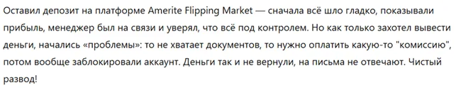 Amerite Flipping Market 3 скрин