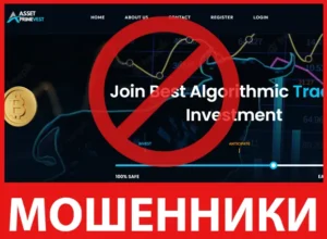 Asset Primevest лицевая сторона скрин