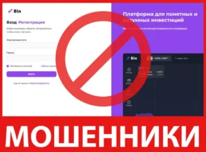 Bin лицевая сторона скрин