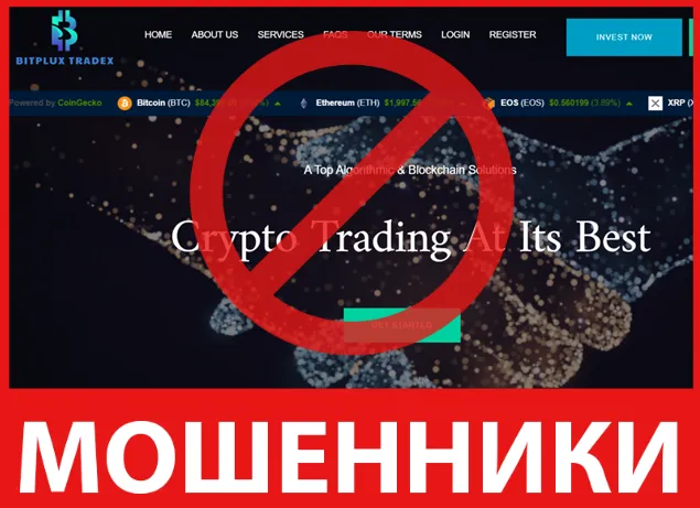 Bitpux Tradex лицевая сторона скрин