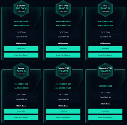 Brickon Funding 2 скрин