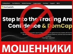 DomCapitalFX лицевая сторона скрин