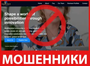 Dynamic World Strategies лицевая сторона скрин