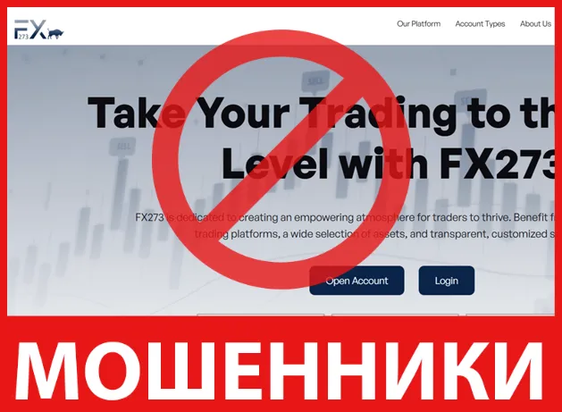 FX273 лицевая сторона скрин