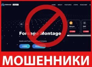 Forsage Montage лицевая сторона скрин