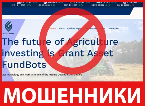 Grant Asset FundBots лицевая сторона скрин