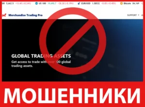 Merchandise Trading Pro лицевая сторона скрин